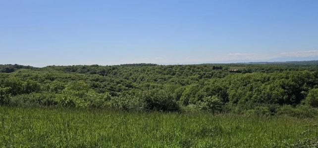 For sale Ordan-larroque 2252 m2 Gers (32350) photo 0