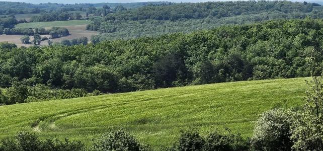 For sale Ordan-larroque 2252 m2 Gers (32350) photo 1