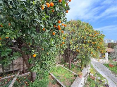For sale Nice 5 rooms 167 m2 Alpes Maritimes (06200) photo 3