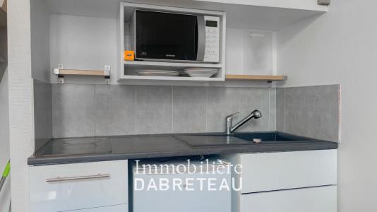 For rent Lyon-7eme-arrondissement 1 room 20 m2 Rhone (69007) photo 3