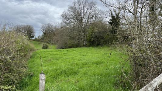 For sale Broye 2 rooms 34 m2 Saone et loire (71190) photo 4