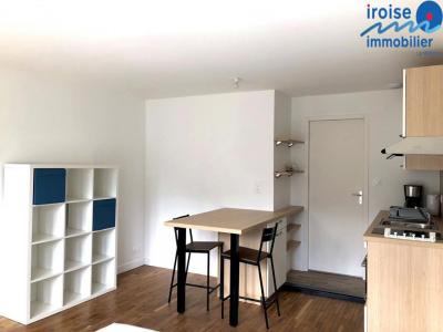 Annonce Location Appartement Brest 29