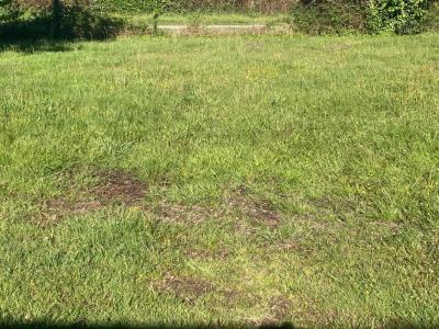 For sale Moustey 1387 m2 Landes (40410) photo 0