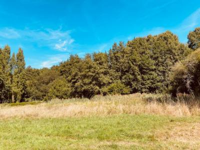 Acheter Terrain 980 m2 Salleboeuf