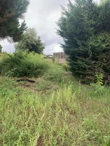 For sale Gujan-mestras 620 m2 Gironde (33470) photo 0