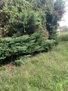 For sale Gujan-mestras 620 m2 Gironde (33470) photo 1