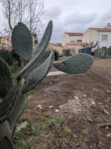 For sale 15 MN A PIED DU CENTRE VI Aude (11100) photo 2