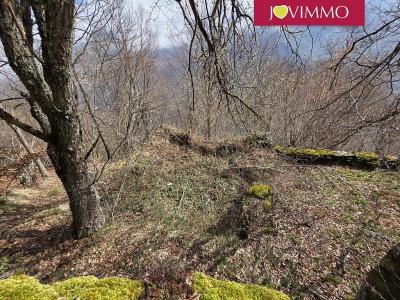 For sale Viscos Hautes pyrenees (65120) photo 0