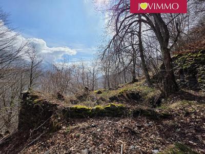 Annonce Vente Terrain Viscos 65