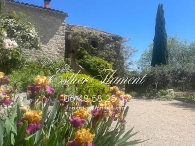 For sale Anduze 10 rooms 268 m2 Gard (30140) photo 0