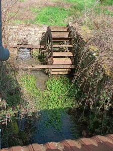 For sale Nevers 4 rooms 300 m2 Nievre (58000) photo 3