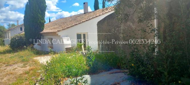 For sale Sigean 17 rooms 439 m2 Aude (11130) photo 2