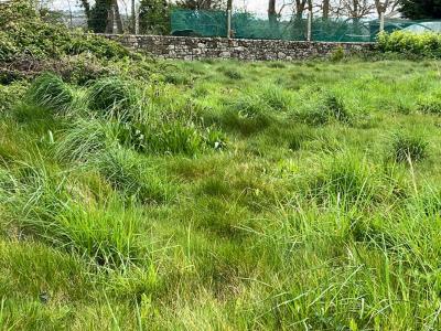 For sale Brignogan-plage 534 m2 Finistere (29890) photo 2