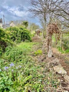 For sale Brignogan-plage 534 m2 Finistere (29890) photo 4