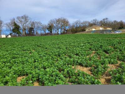 For sale Gers (32120) photo 1