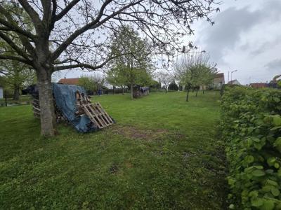 Annonce Vente Terrain Walbourg 67