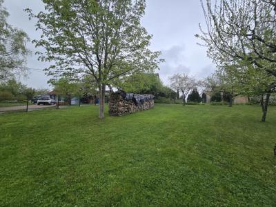 Acheter Terrain Walbourg 115000 euros