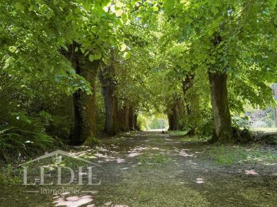 For sale Estang 7 rooms 300 m2 Gers (32240) photo 1