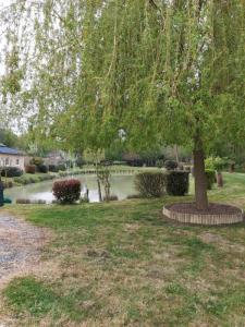 Annonce Vente 6 pices Maison Bouere 53