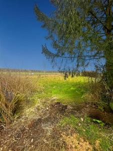 Acheter Terrain Neuville-aux-joutes Ardennes