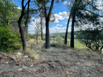 Annonce Vente Terrain Rieux-minervois 11