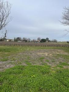 For sale Saint-germain-du-puch 512 m2 Gironde (33750) photo 0