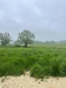 Annonce Vente Terrain Baron 33