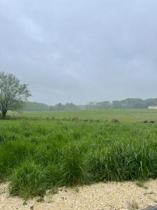 Acheter Terrain 565 m2 Baron