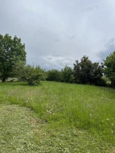For sale Saint-martin-du-bois 1250 m2 Gironde (33910) photo 0