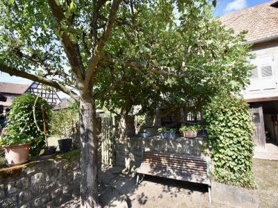 Acheter Maison Andlau 268000 euros