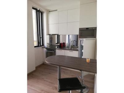 Annonce Location Appartement Toulouse 31