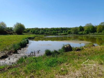 Acheter Terrain 15912 m2 Feron