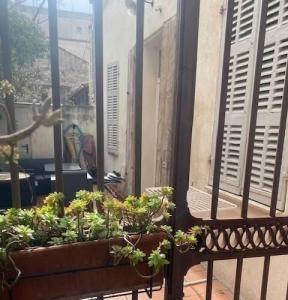 For rent Marseille-5eme-arrondissement 1 room 32 m2 Bouches du Rhone (13005) photo 4