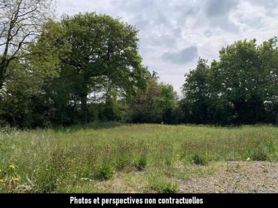 Annonce Vente Maison Genetouze 85