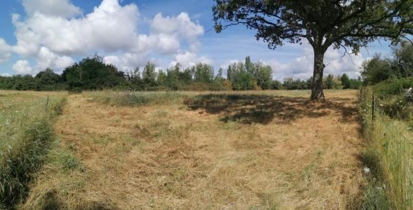 Annonce Vente Terrain Saint-benoit-sur-loire 45