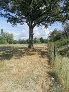 Acheter Terrain Saint-benoit-sur-loire