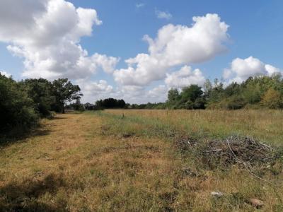 Acheter Terrain Saint-benoit-sur-loire Loiret