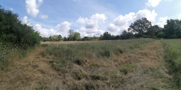 Acheter Terrain Saint-benoit-sur-loire 27498 euros