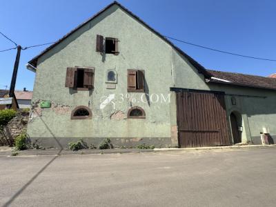 Acheter Maison 390 m2 Saessolsheim