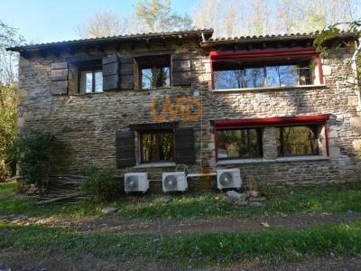 Acheter Maison 267 m2 Collet-de-deze