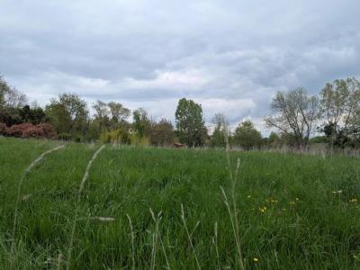 For sale Marcilly-le-chatel 1056 m2 Loire (42130) photo 0