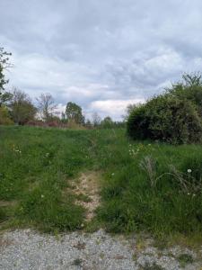For sale Marcilly-le-chatel 1056 m2 Loire (42130) photo 1
