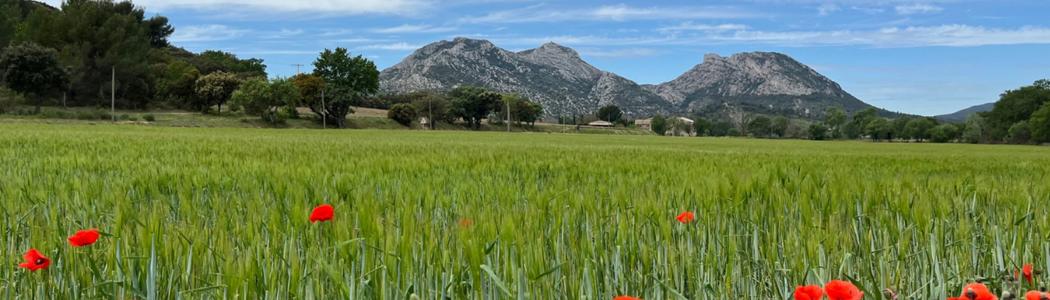 For sale Collias 263 m2 Gard (30210) photo 0