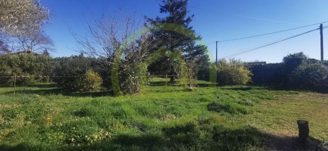 For sale Carbonne 4 rooms 101 m2 Haute garonne (31390) photo 2