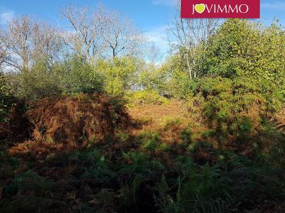 Annonce Vente Terrain Aurieres 63