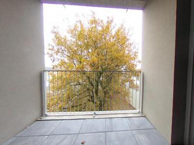 Louer Appartement Orvault 662 euros