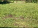 For sale Land Moustey 1387 m2