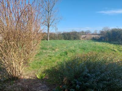 For sale Nerondes 3 rooms 70 m2 Cher (18350) photo 1