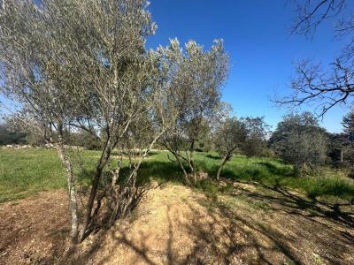 For sale Pignan 2260 m2 Herault (34570) photo 1