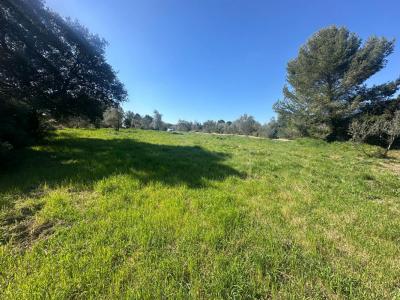 For sale Pignan 2260 m2 Herault (34570) photo 2